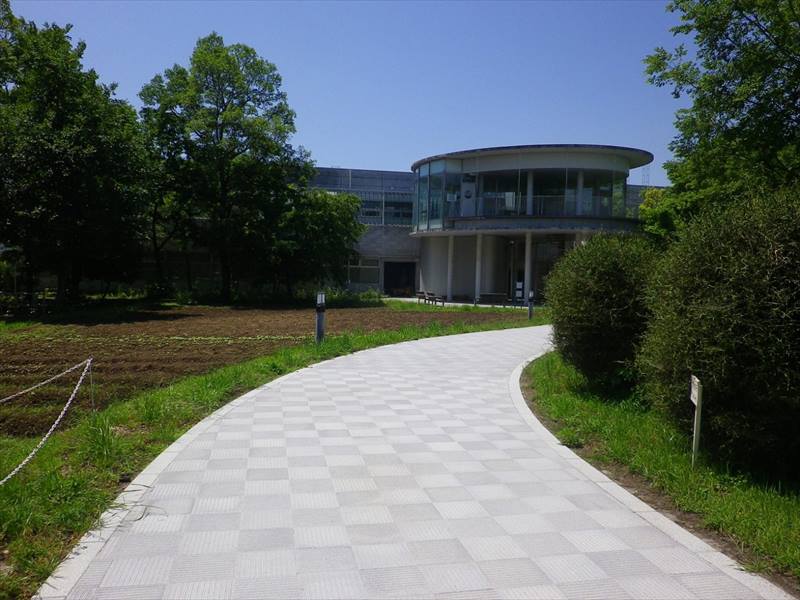 埼玉県環境科学国際センター生態園のインターロッキングブロック施工現場です。製品はアートスルーの特注遮熱型